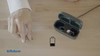 How to place the hearing aid in Standard Charger